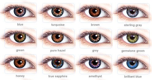 Contacts